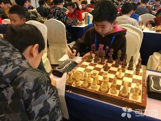 2018苏州国际象棋赛场上的巅峰对决-第3张图片-www.211178.com_果博福布斯